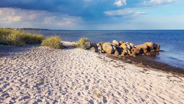 A sandy beach with rocks and grass, a clear sky, and calm water. - 10 Person Holiday Home in Rudkobing (Rudkobing)