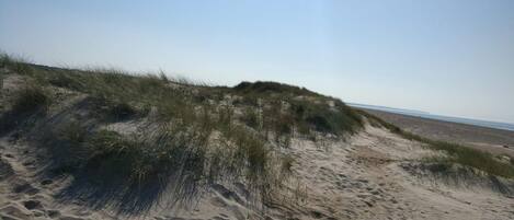 Appartement | Plage