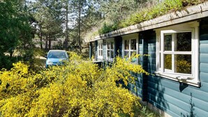 A cabin with a car parked in front, surrounded by dense trees and yellow flowering bushes. - 4 Person Holiday Home in Sjaellands Odde (Sjællands Odde)