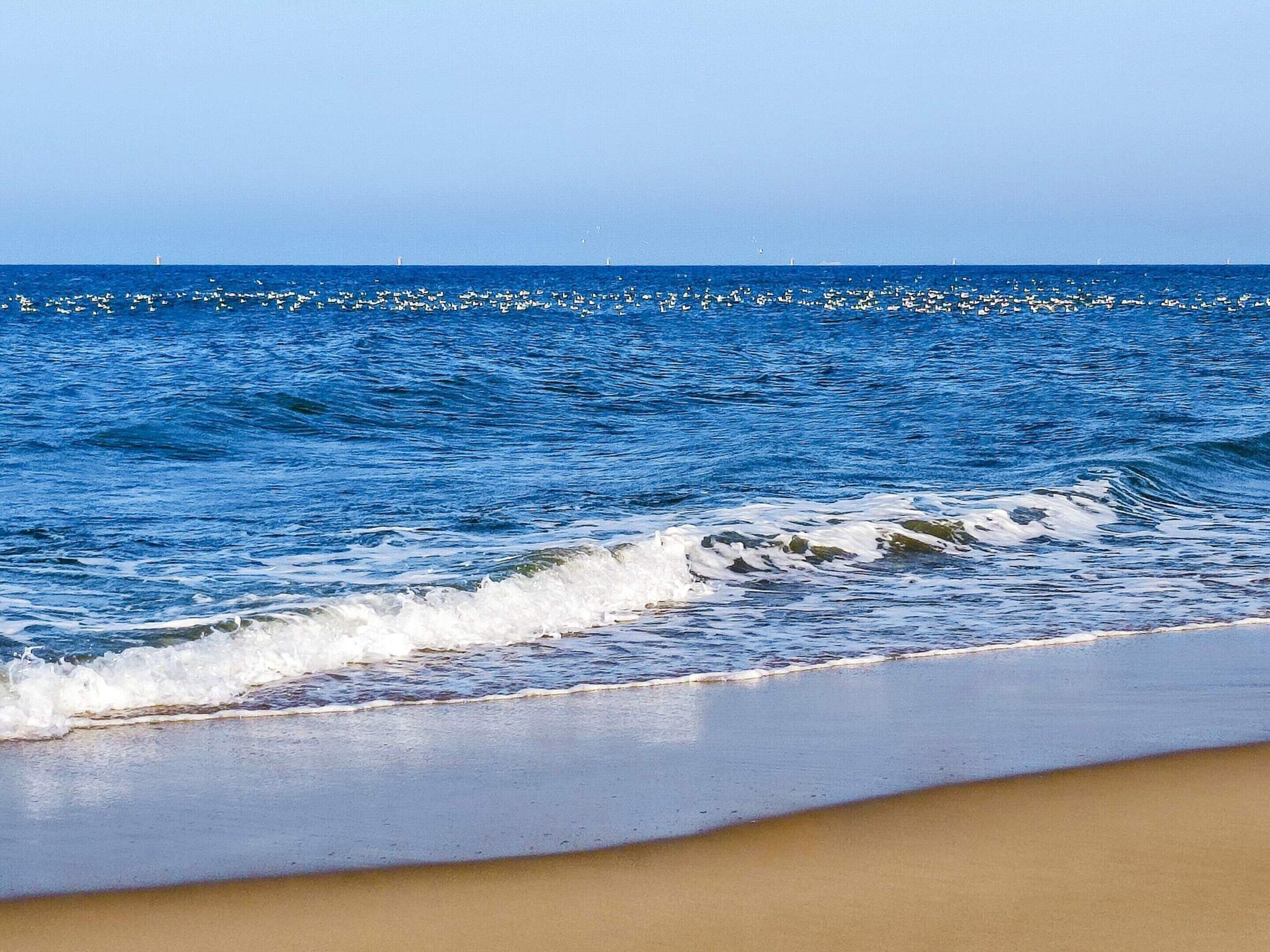 Una spiaggia con onde e cielo sereno.