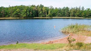 A calm lake with a sandy shore and dense forest in the background.