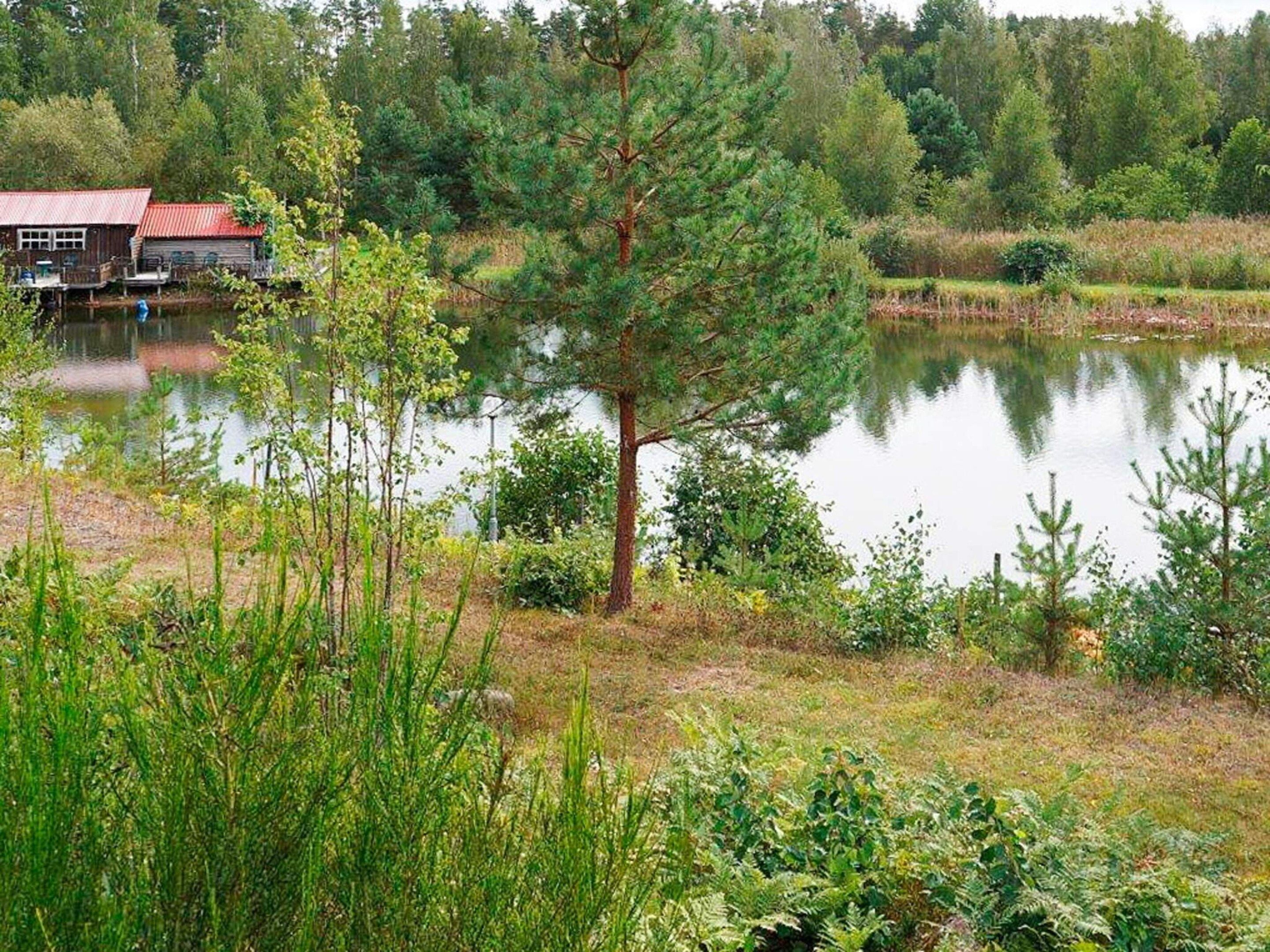 Una cabaña junto a un lago con un muelle, rodeada de árboles y vegetación densa.