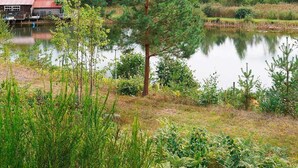 A cabin with a red roof by a calm lake surrounded by dense forest.
