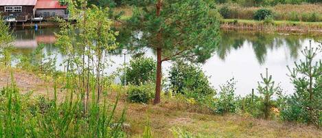 House | Water view