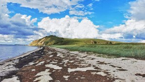 A beach with a grassy hill in the background, a clear sky, and a calm sea. - 5 Star Holiday Home in Hojslev (Hojslev)