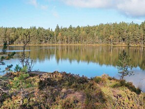 A tranquil lake surrounded by dense forest. - 4 Person Holiday Home in Skarblacka (Skärblacka)