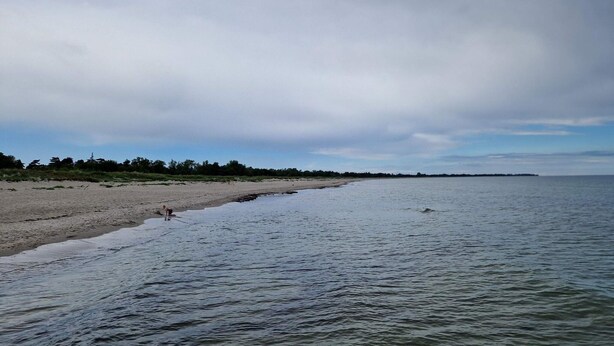 Ein Strand mit sandigem Ufer und ruhigem Wasser.