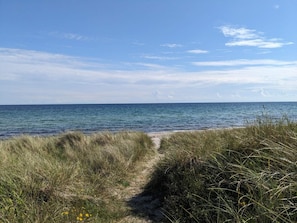 A coastal path leading to the sea with grassy dunes and a clear sky. - 8 Person Holiday Home in Vaeggerlose (Vaeggerlose)