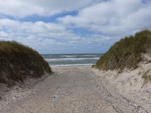 Un sentier de gravier menant à la mer, avec des dunes de chaque côté.