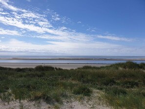 Un paysage côtier avec une plage de sable et des dunes herbeuses.