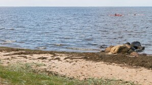 Une plage aux eaux calmes, un rivage rocheux et, au loin, des kayaks.