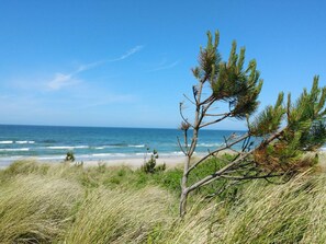 Beach - 7 Person Holiday Home in Rorvig (Rørvig)