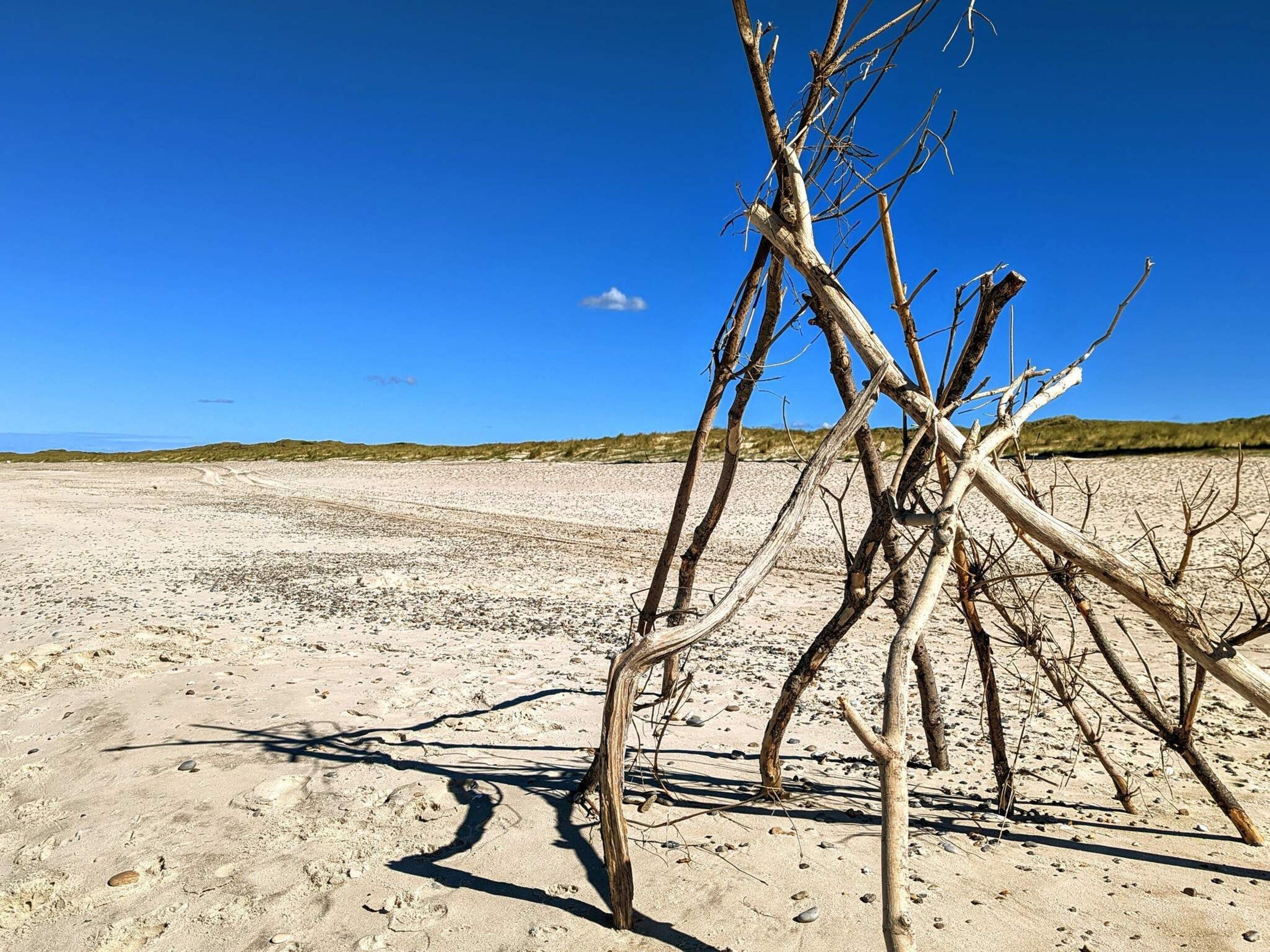 A sandy beach with sparse vegetation and a clear blue sky.