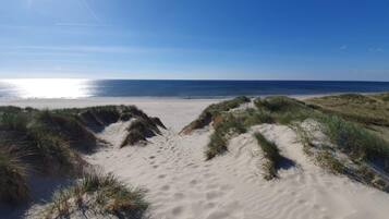 Ferienhaus | Strand