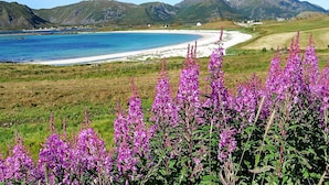 Un paysage côtier avec des montagnes, une plage et des fleurs violettes au premier plan.