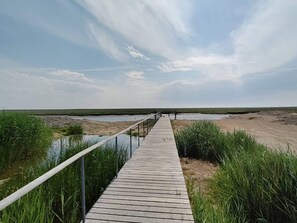 House | Water view