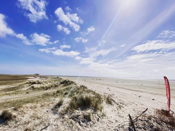 House | Beach