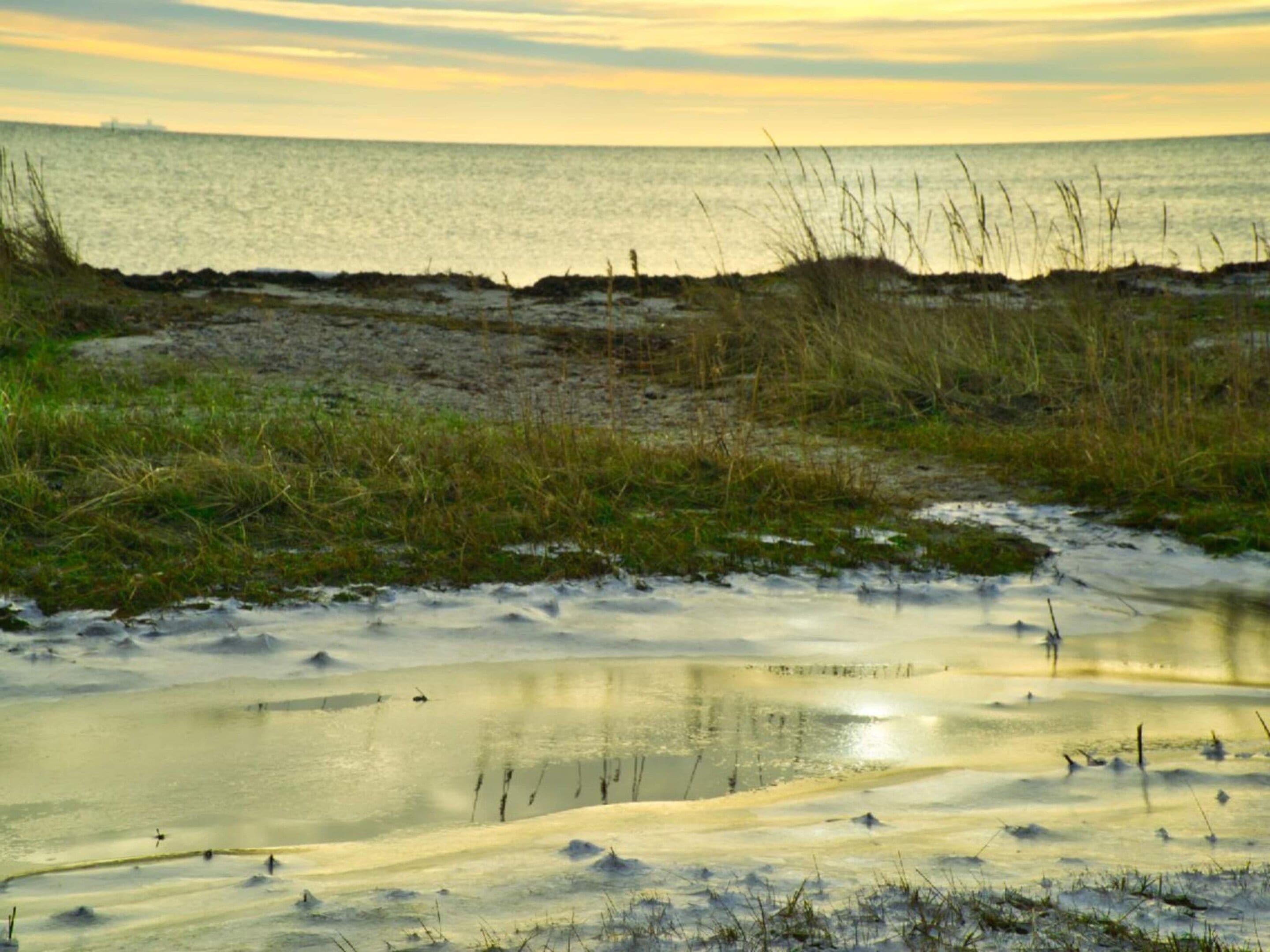 A coastal landscape with a body of water, grassy areas, and a distant horizon.