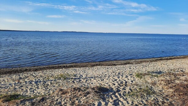 A beach with clear blue water and a sandy shore. - 4 Person Holiday Home in Praesto (Praesto)