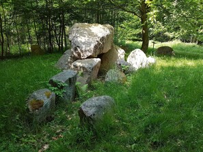 House | Miscellaneous