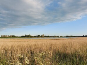 House | Miscellaneous