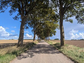 House | Miscellaneous