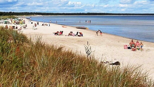 Ein Strand mit badenden Personen, einem Boot auf dem Wasser und einer grünen Fläche im Vordergrund.