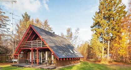 Simplstic Holiday Home in Falster With Terrace