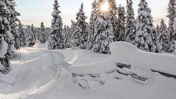 Eksteriør