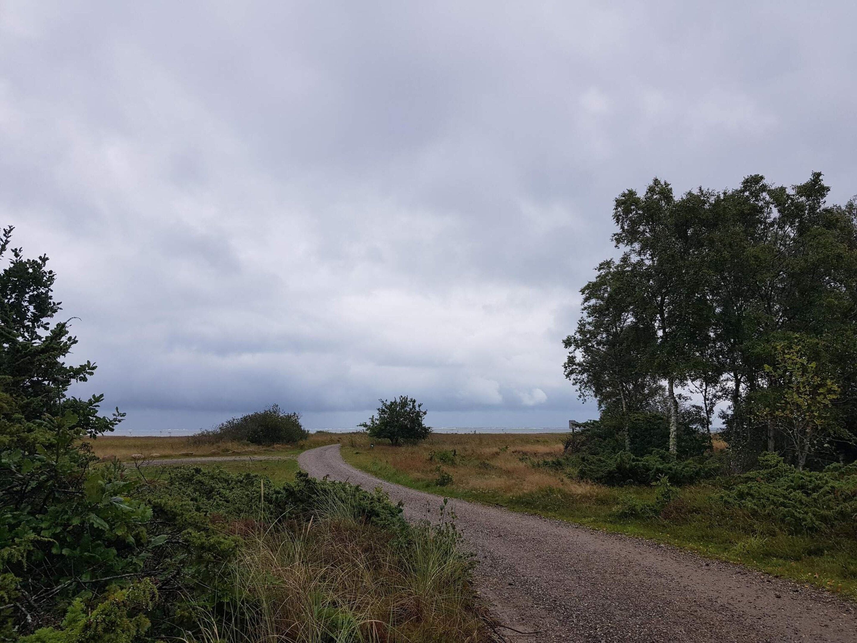 Un sentier de gravier traverse un paysage naturel, bordé de chaque côté d’arbres et d’arbustes.
