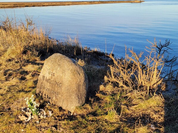 A stone monument with inscriptions, surrounded by dry grass and reeds near a calm body of water.