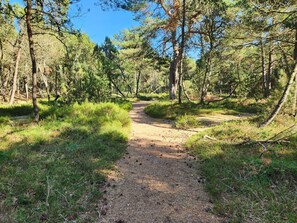 House | Miscellaneous