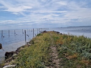 Pemandangan perairan