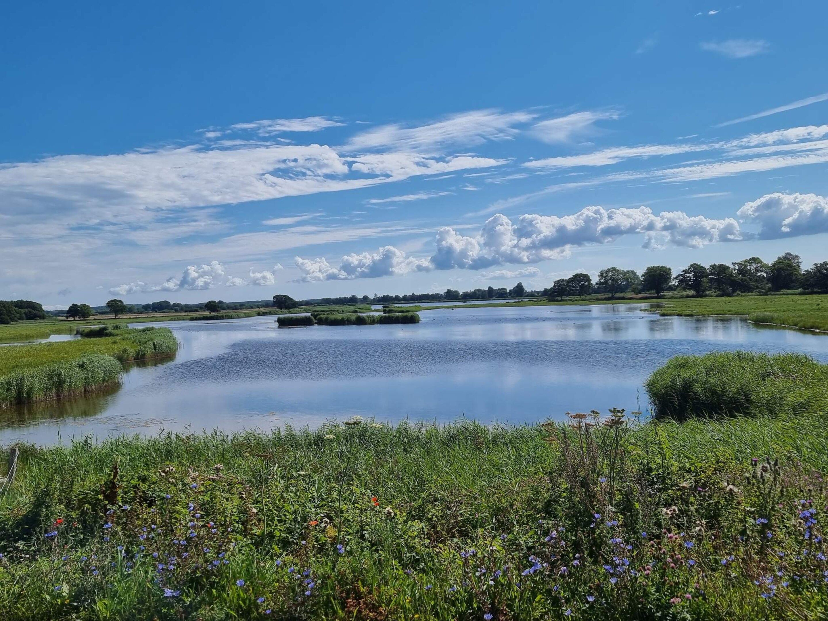 A serene landscape with a calm lake, surrounded by lush greenery and wildflowers.