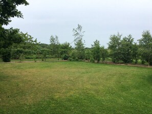 House | Property grounds