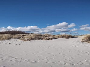 House | Miscellaneous