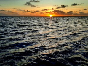 House | Water view - Holiday Home in BlÃ¥vand (Blavand)