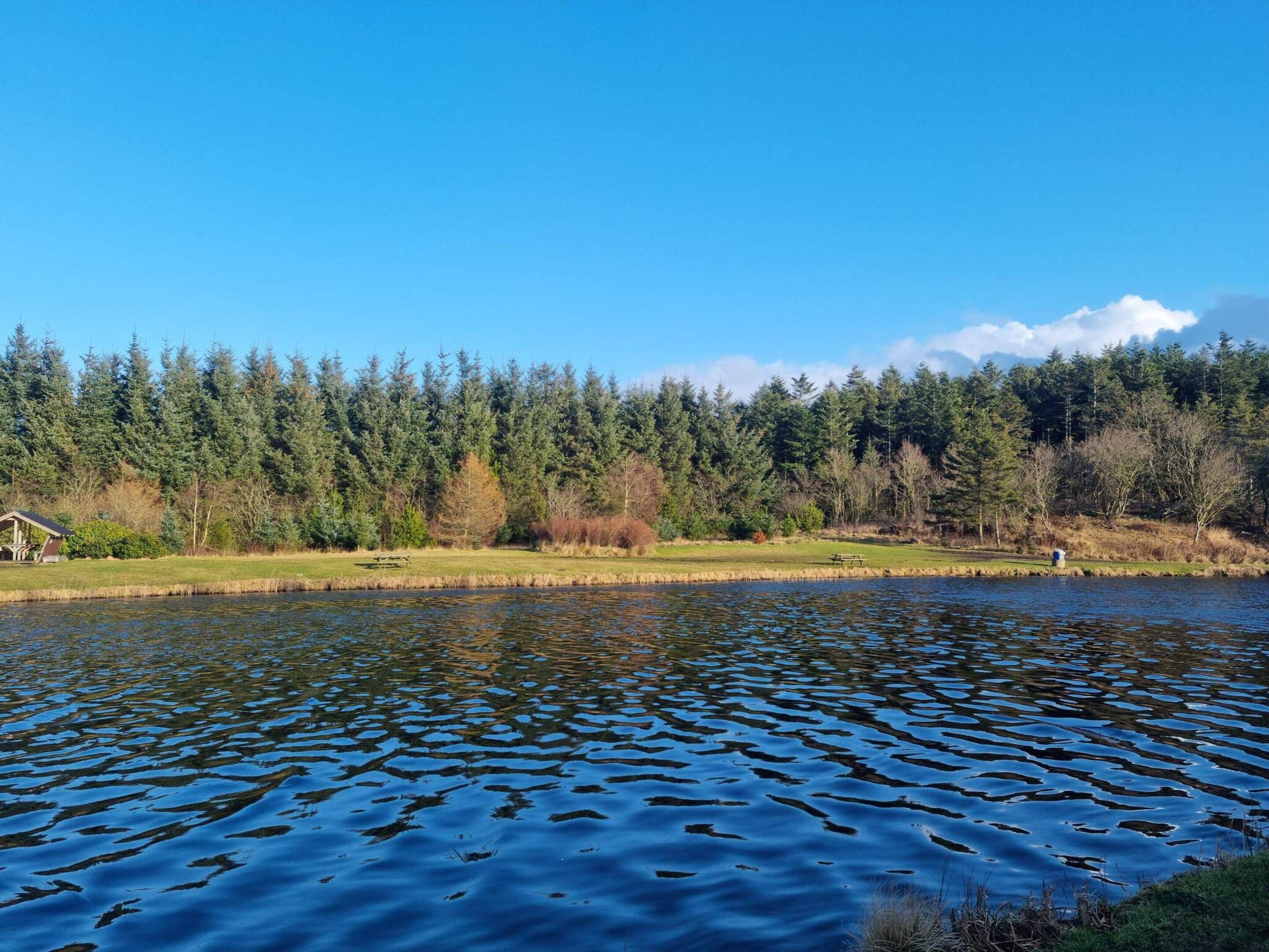 A calm lake with a picnic area and a gazebo in the foreground.