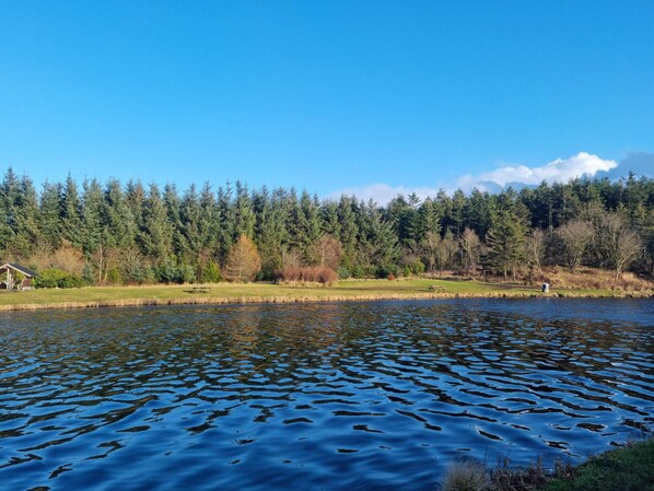 A calm lake with a picnic area and a gazebo in the foreground.