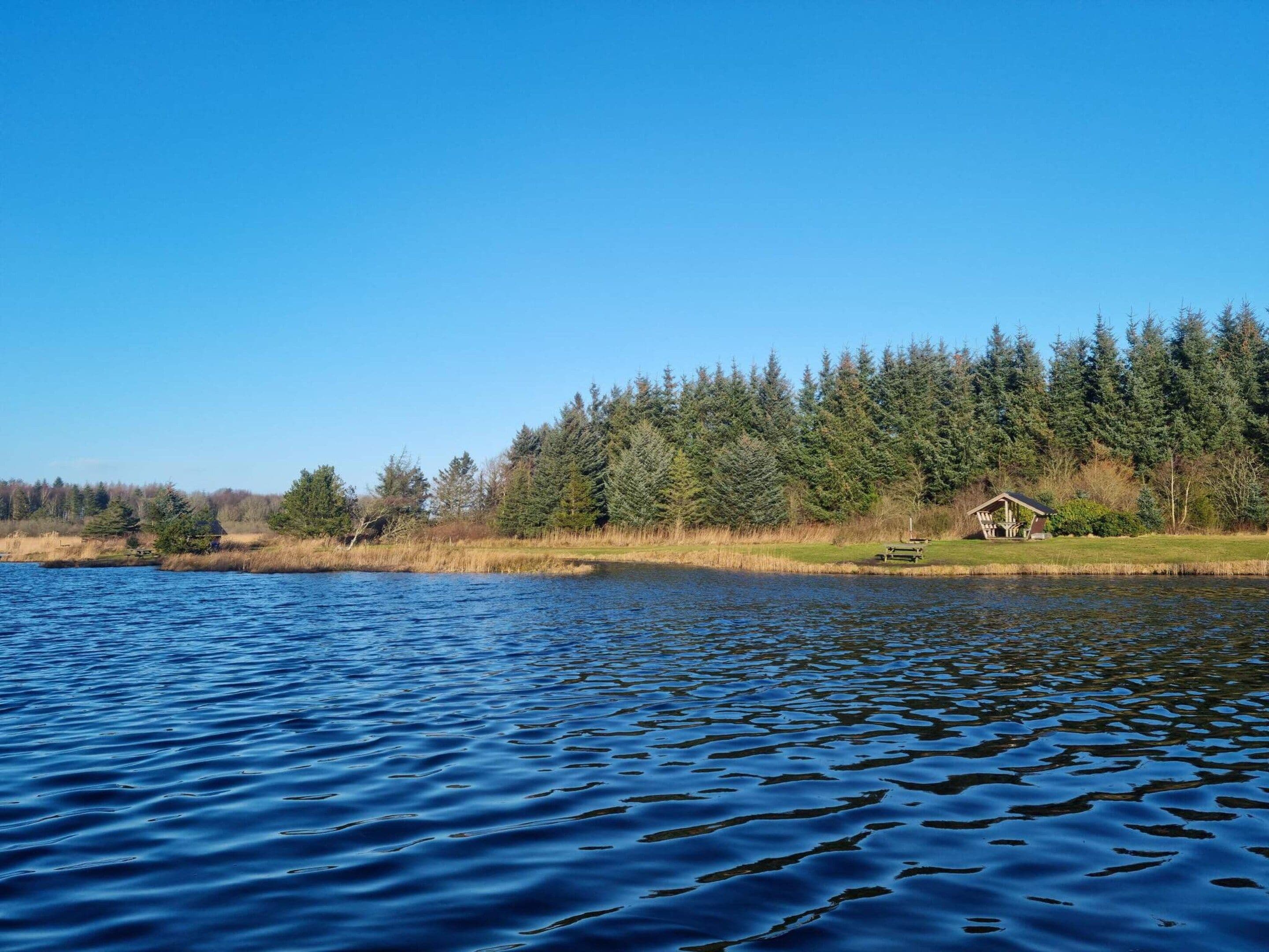 A tranquil lake with a wooden cabin on the shore, surrounded by dense forest.