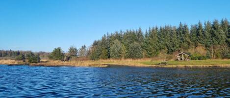 A tranquil lake with a wooden cabin on the shore, surrounded by dense forest.