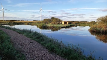 House | Water view