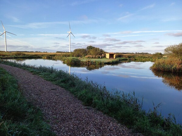 House | Water view