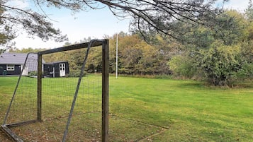 Um gol de futebol num campo gramado, com uma casa ao fundo.