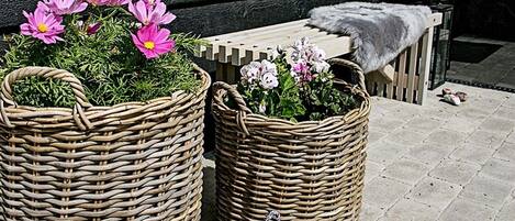 Casa | Áreas de la propiedad