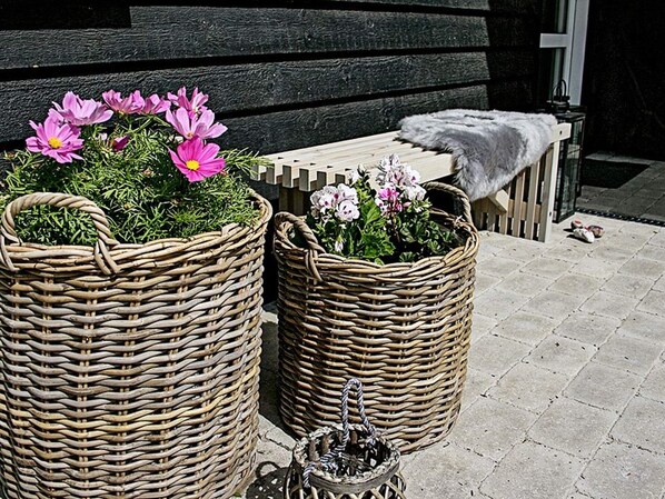 House | Property grounds