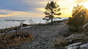 Ranta