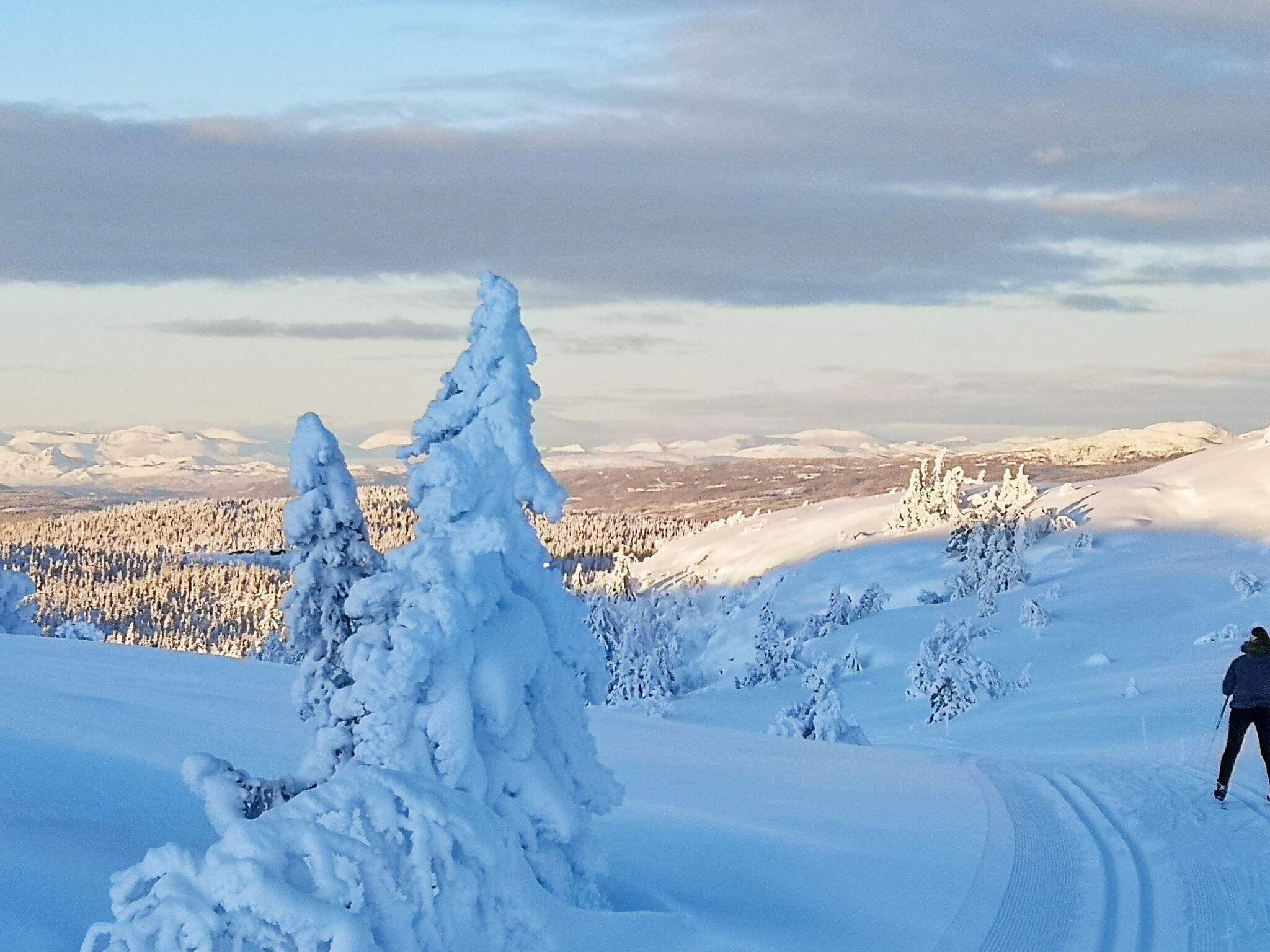 Snow and ski sports