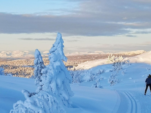 Snow and ski sports - 10 Person Holiday Home in Reinli (Sor-Aurdal)