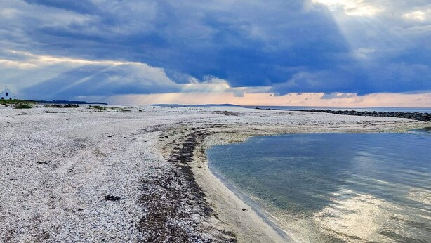 A beach with a rocky shoreline, a clear water body, and a cloudy sky. - 5 Person Holiday Home in Logstor (Logstor)